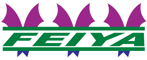 Feiya Logo